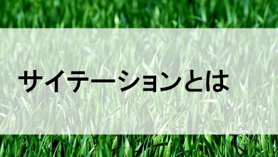 サイテーションとは？獲得方法やseo,meo効果の基礎知識について解説