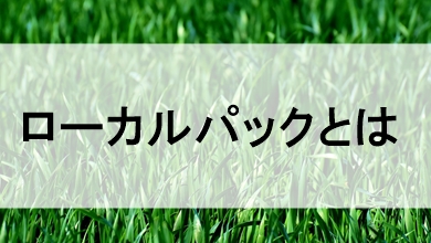 ローカルパックとは？種類や表示されない原因と対策ポイントを解説します